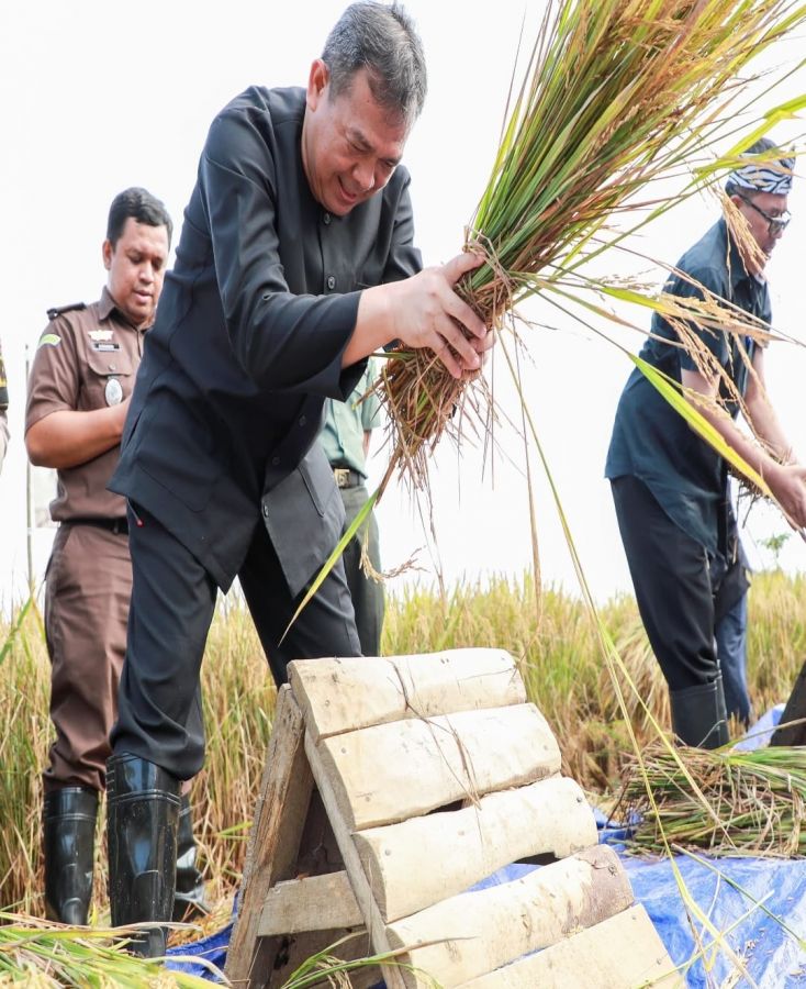 Produksi Padi Purwakarta Mencapai 150 Ribu Ton di Semester Pertama 2024