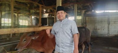 bupati-bandung-serahkan-hewan-kurban-kepada-dpd-ldii-kabupaten-bandung
